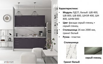 Кухонный гарнитур 2000 мм Агата (Игни) в Верхней Пышме - verhnyaya-pyshma.mebel-e96.ru