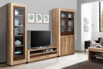 Стенка Фантазия модульная (Олмеко) в Верхней Пышме - verhnyaya-pyshma.mebel-e96.ru