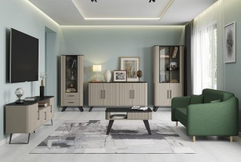 Стенка Фиделия, модульная (Олмеко) в Верхней Пышме - verhnyaya-pyshma.mebel-e96.ru