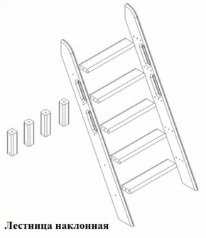 Кровать Сонечка 2-х ярусная (модульная) в Верхней Пышме - verhnyaya-pyshma.mebel-e96.ru