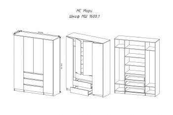 Шкаф распашной Мори 1600 мм графит (ДСВ) в Верхней Пышме - verhnyaya-pyshma.mebel-e96.ru