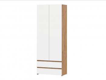 Стол компьютерный Некст-1 + Шкаф (СВ) в Верхней Пышме - verhnyaya-pyshma.mebel-e96.ru