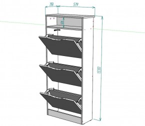 Обувница W10 (ДСС) в Верхней Пышме - verhnyaya-pyshma.mebel-e96.ru