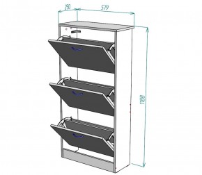 Обувница W7 (ДСС-Белый) в Верхней Пышме - verhnyaya-pyshma.mebel-e96.ru