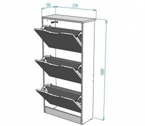 Обувница W8 (ДСС) в Верхней Пышме - verhnyaya-pyshma.mebel-e96.ru