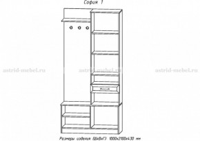 Прихожая София 1 (АстридМ) в Верхней Пышме - verhnyaya-pyshma.mebel-e96.ru