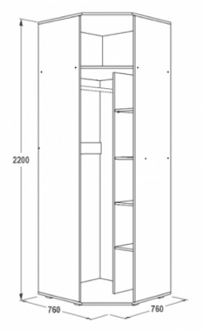 Шкаф 1-но дверный угловой Ольга-14 (760*760) в Верхней Пышме - verhnyaya-pyshma.mebel-e96.ru