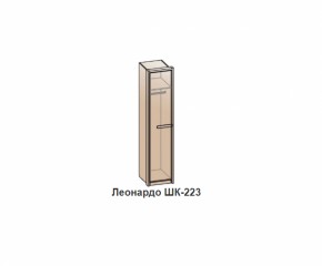 Шкаф ЛЕОНАРДО (ШК-223) Венге в Верхней Пышме - verhnyaya-pyshma.mebel-e96.ru | фото