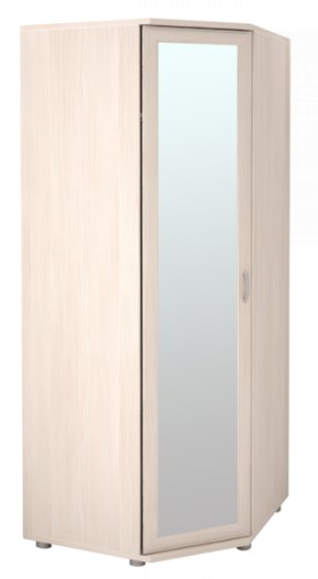 Шкаф угловой для одежды Ника-Люкс 30 с зеркалами в Верхней Пышме - verhnyaya-pyshma.mebel-e96.ru