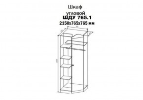 Шкаф угловой KI-KI ШДУ765.1 (ДСВ) в Верхней Пышме - verhnyaya-pyshma.mebel-e96.ru