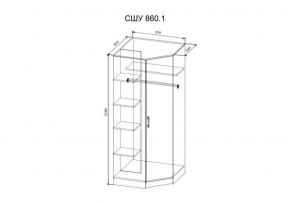 Шкаф угловой Софи  СШУ860.1 (ДСВ) в Верхней Пышме - verhnyaya-pyshma.mebel-e96.ru