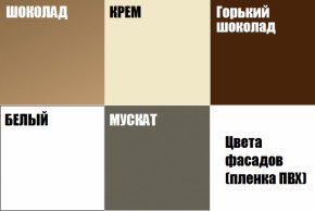 Шкаф ЗШ-9-1 Зетта в Верхней Пышме - verhnyaya-pyshma.mebel-e96.ru