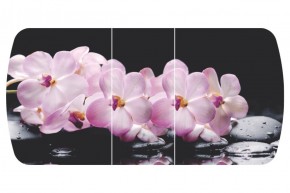 Стол Бостон-3 (Розовая Орхидея) 1100/1420*700, опора Брифинг в Верхней Пышме - verhnyaya-pyshma.mebel-e96.ru