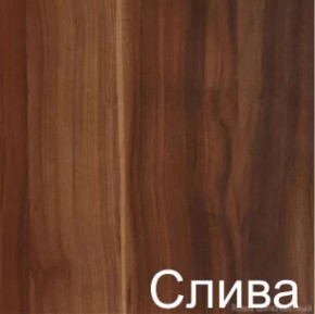 Стол-книжка (1-65) (ГК) в Верхней Пышме - verhnyaya-pyshma.mebel-e96.ru