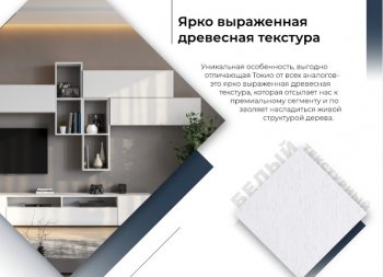 Стенка Токио комп.3 (СВ) в Верхней Пышме - verhnyaya-pyshma.mebel-e96.ru