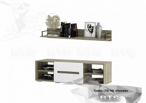 Тумба ТВ ТБ-16 Наоми (БТС) в Верхней Пышме - verhnyaya-pyshma.mebel-e96.ru