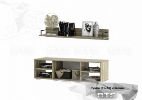 Тумба ТВ ТБ-16 Наоми (БТС) в Верхней Пышме - verhnyaya-pyshma.mebel-e96.ru